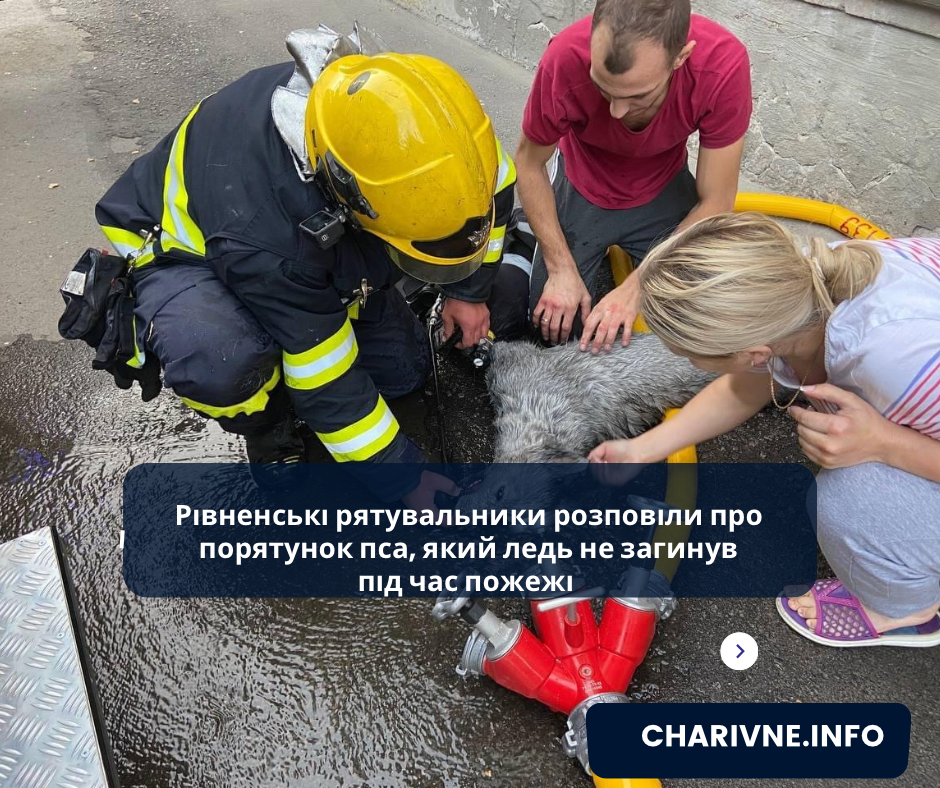 Фото ілюстративне